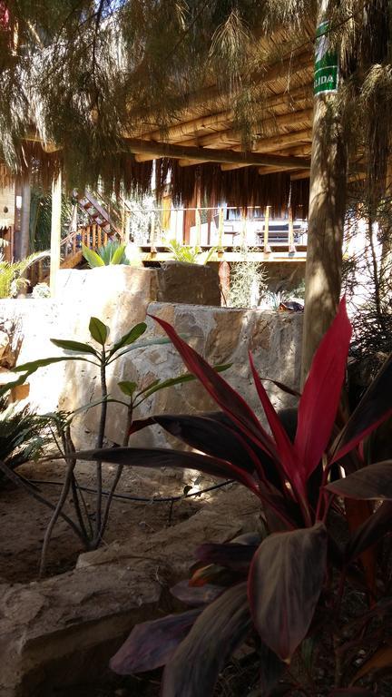 Lapa Lapa Lobitos Bungalows Hotel Esterno foto