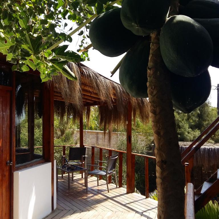 Lapa Lapa Lobitos Bungalows Hotel Esterno foto